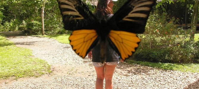 Tour to the Bohol Butterfly Sanctuary